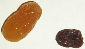 The perfect golden raisins for arthritis